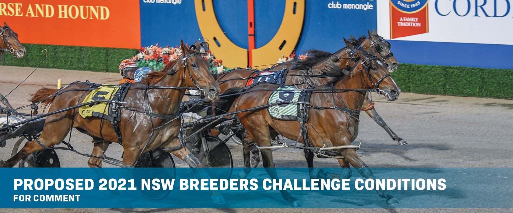 For comment 2021 NSW Breeders Challenge race series proposed conditions